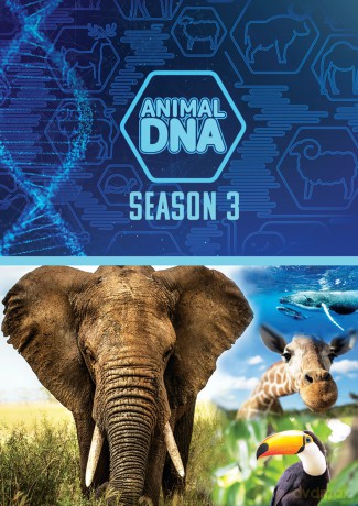 Animal Dna: Season Three [DVD]