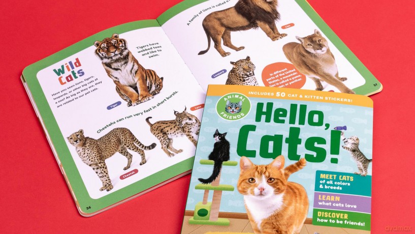 Animal Friends Hello Cats [KSIĄŻKA]