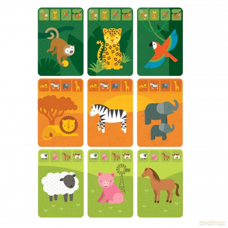 Animal Kingdom Card Game [KSIĄŻKA]
