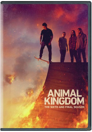 Animal Kingdom: Season 6 [DVD]
