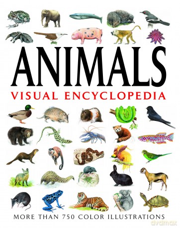 Animals Visual Encyclopedia [KSIĄŻKA]