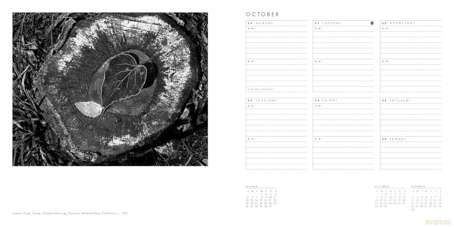 Ansel Adams 2025 Engagement Calendar [KSIĄŻKA]