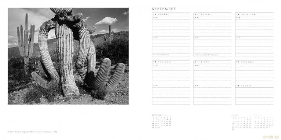 Ansel Adams 2025 Engagement Calendar [KSIĄŻKA]