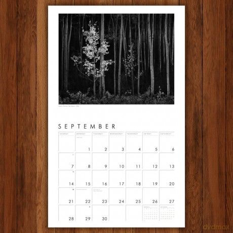 Ansel Adams 2025 Wall Calendar [KSIĄŻKA]