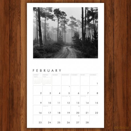 Ansel Adams 2025 Wall Calendar [KSIĄŻKA]
