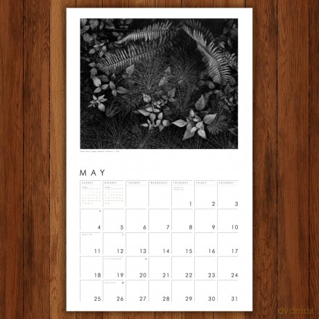 Ansel Adams 2025 Wall Calendar [KSIĄŻKA]