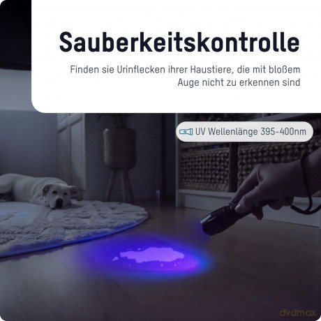 Ansmann: ANSMANN Action 400 UV LED Taschenlampe s