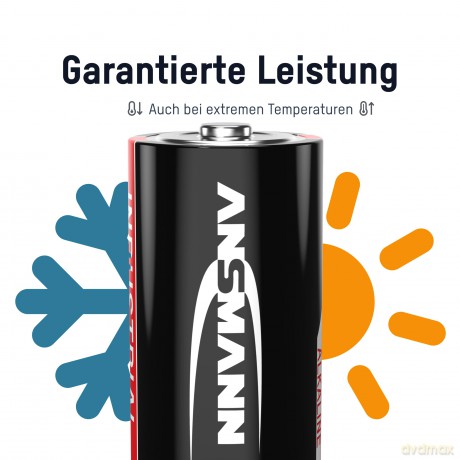 Ansmann Mono D Industrial Bat.