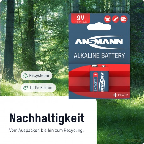 ANSMANN Red Batt. E-Block 2er