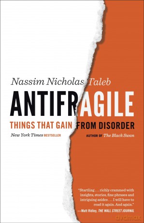 Antifragile [KSIĄŻKA]