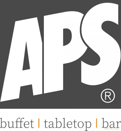 APS SMOKY Aschenbecher silber