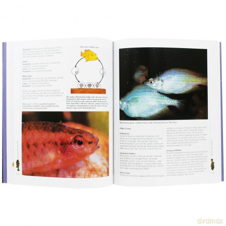 Aquarium Fish [KSIĄŻKA]