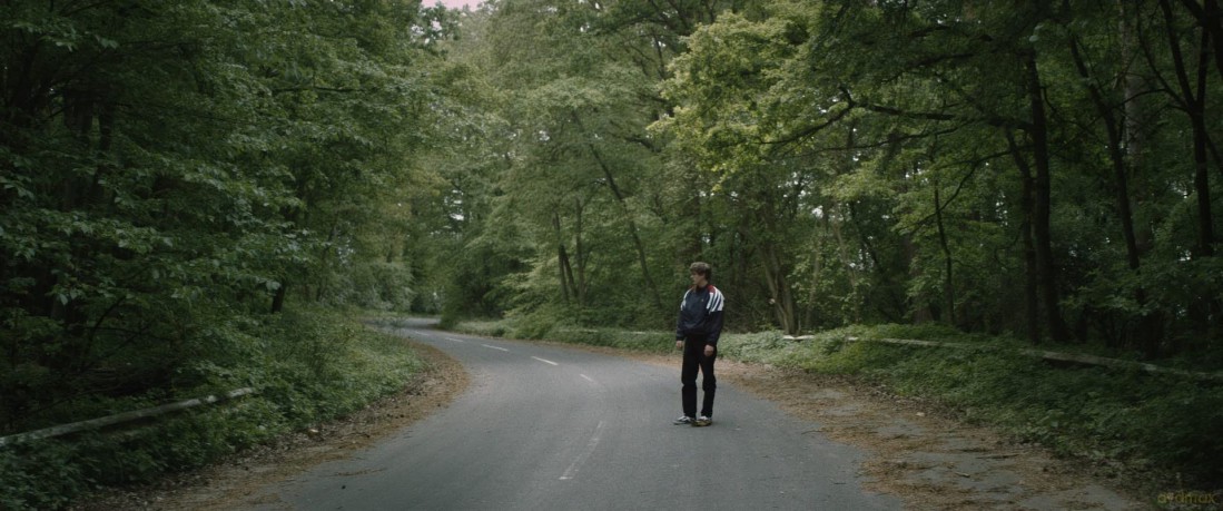 Arboretum [DVD]