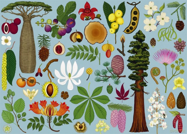 Arboretum 1 000Piece Jigsaw Puzzle [KSIĄŻKA]