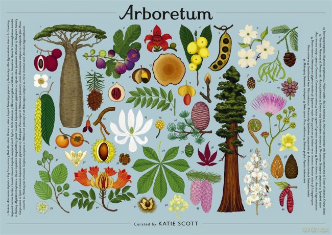 Arboretum 1 000Piece Jigsaw Puzzle [KSIĄŻKA]