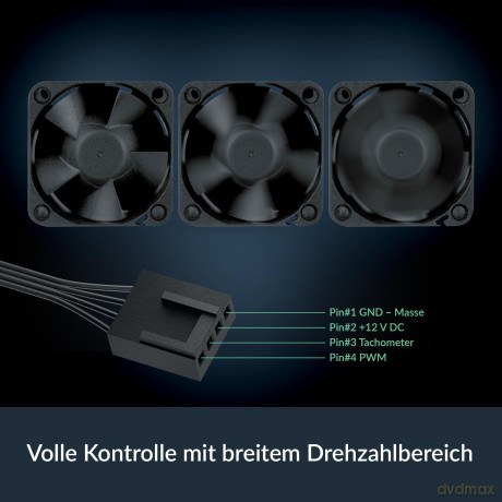 ARCTIC Lźfter Server 40x40x28mm S4028-6K
