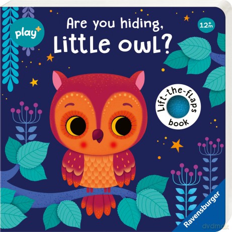 Are You Hiding Owl [KSIĄŻKA]