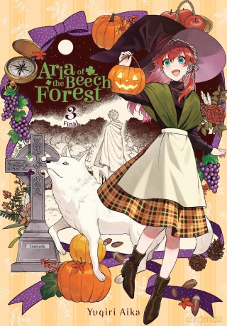 Aria of the Beech Forest Vol. 3 [KSIĄŻKA]