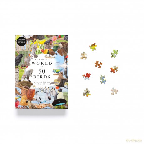 Around the World in 50 Birds [KSIĄŻKA]