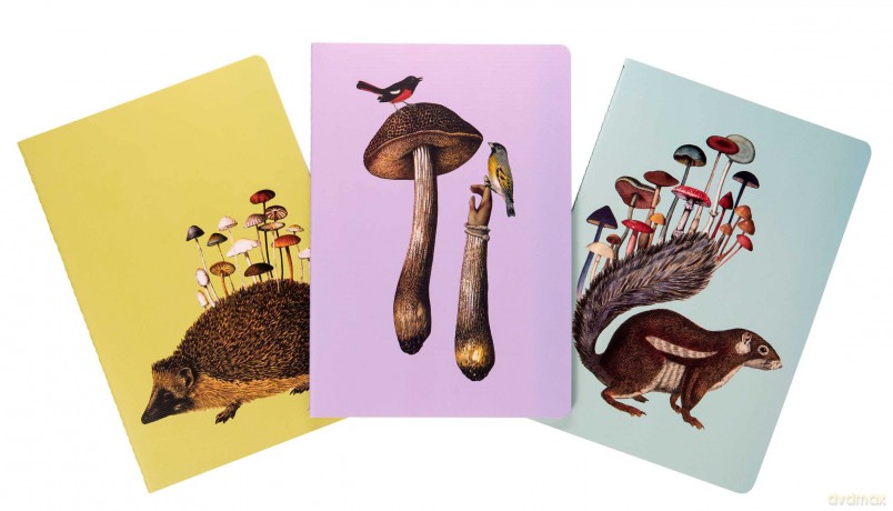 Art of Nature Fungi Sewn Notebook Collection Set of 3 [KSIĄŻKA]