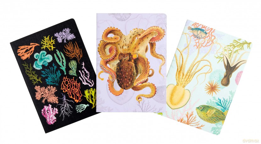 Art of Nature Under the Sea Sewn Notebook Collection Set of 3 [KSIĄŻKA]