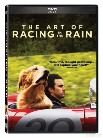 Art Of Racing In The Rain [DVD]
