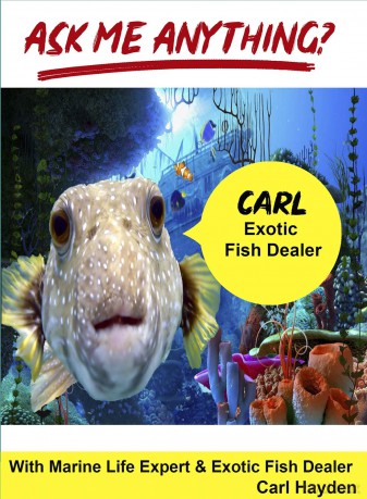Ask Me Anything Exotic Fish [DVD]