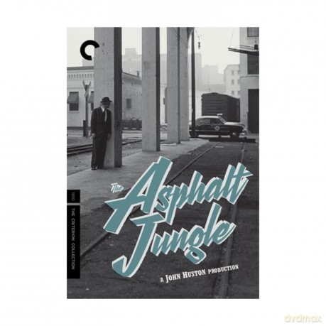 Asphalt Jungle [2DVD]