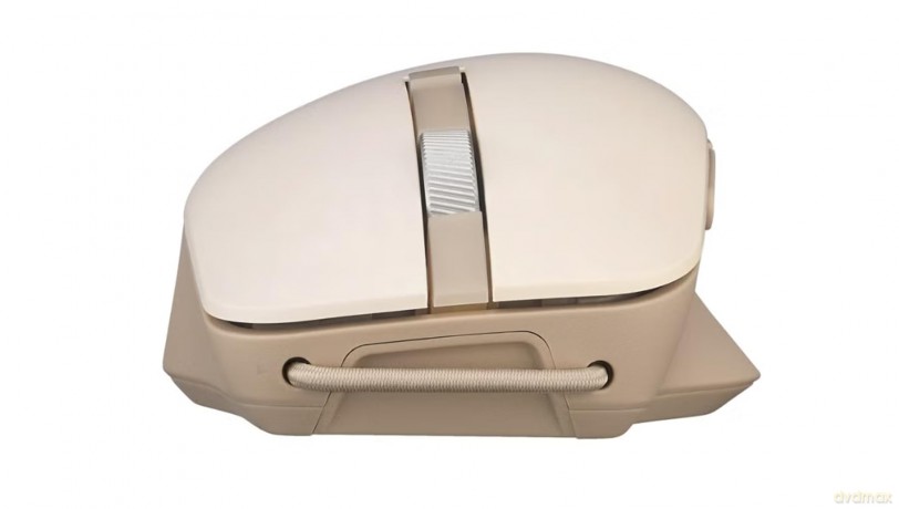 ASUS MD200 Maus, beige, Silent
