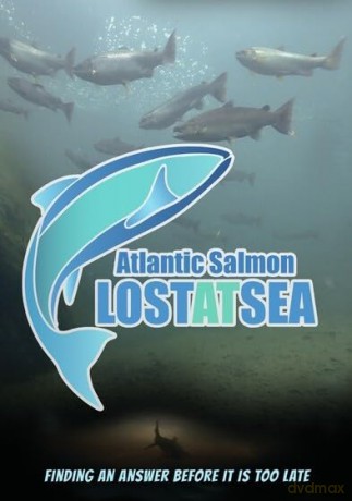 Atlantic Salmon - Lost At Sea [DVD]
