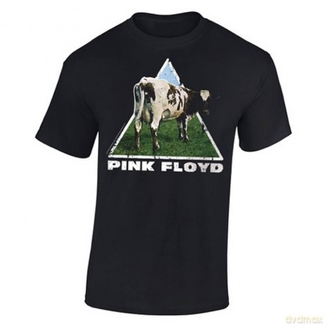 Pink Floyd: Atom Heart