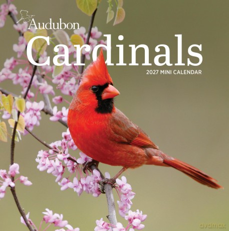 Audubon Cardinals Mini Wall Calendar 2027 [KSIĄŻKA]