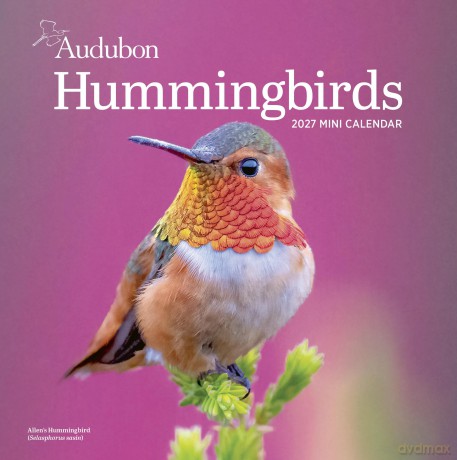 Audubon Hummingbirds Mini Wall Calendar 2027 [KSIĄŻKA]