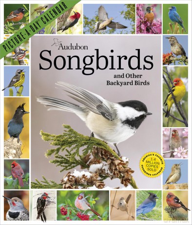 Audubon Songbirds and Other Backyard Birds PictureADayÇĆ Wall Calendar 2027 [KSIĄŻKA]