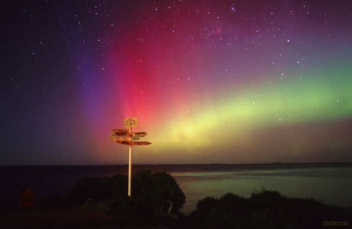 Aurora-Fackeln Am Firmament [DVD]