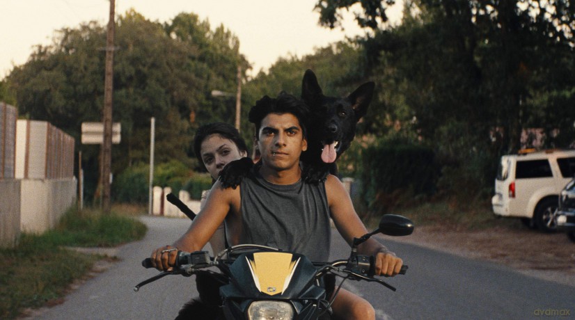 Ava [DVD]
