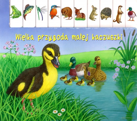 Wielka przygoda małej kaczuszki [KSIĄŻKA]
