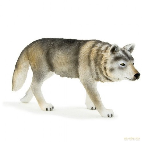 Wilk szary polujący ANIMAL PLANET