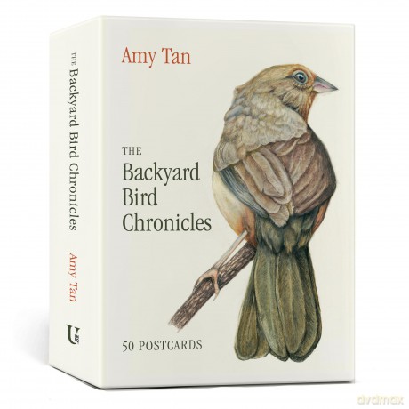 Backyard Bird Chronicles 50 Postcards [KSIĄŻKA]