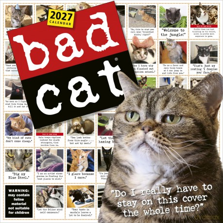 Bad Cat Wall Calendar 2027 [KSIĄŻKA]
