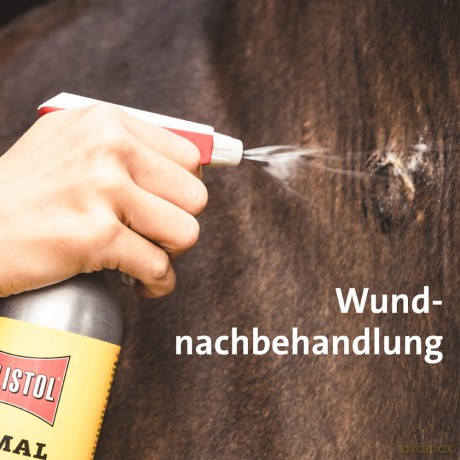 Ballistol: BALLISTOL Tierpflegeśl Animal 100,0 ml