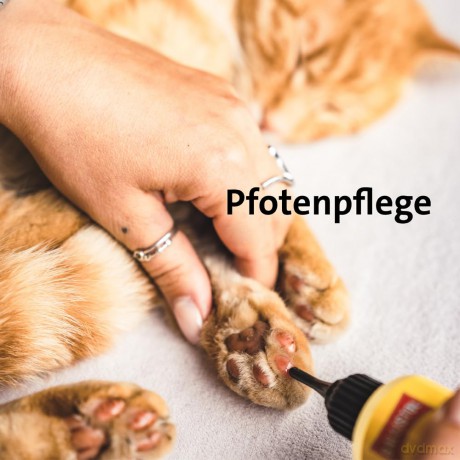 Ballistol: BALLISTOL Tierpflegeśl Animal 100,0 ml