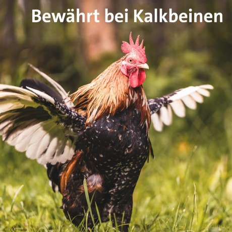 Ballistol: BALLISTOL Tierpflegeśl Animal 100,0 ml