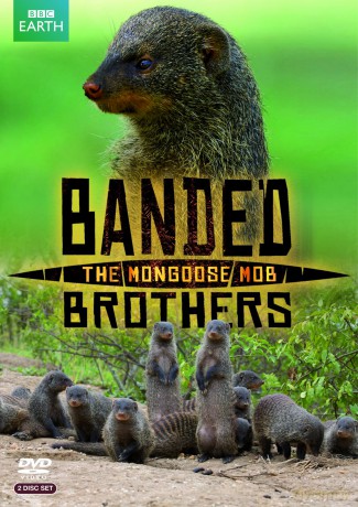 Banded Brothers The Mongoose Mob [2DVD]