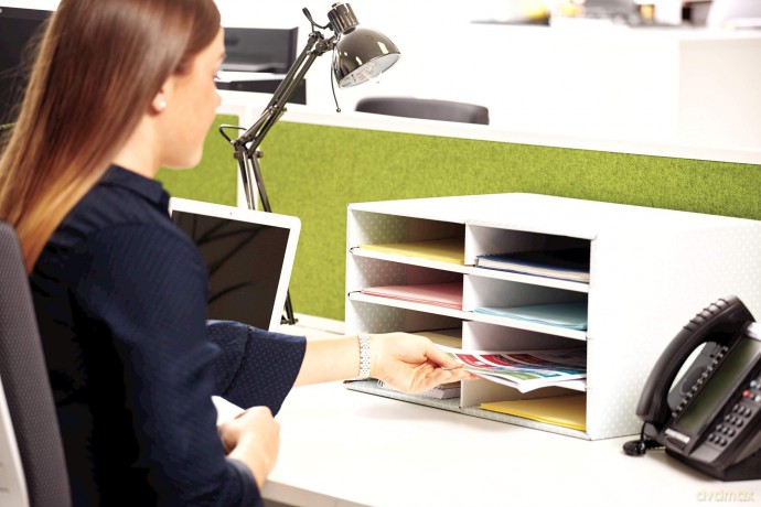 BankersBox Schreibtisch Organizer A4 8 F