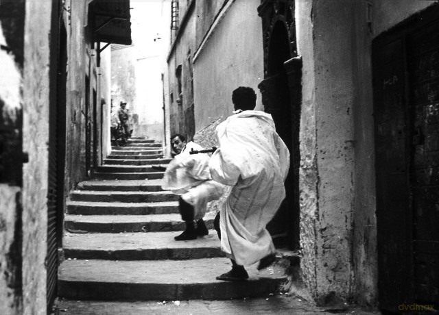 Battle Of Algiers [3DVD]