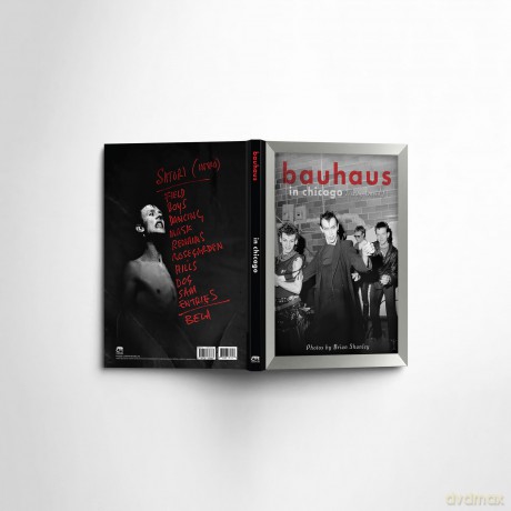 Bauhaus In Chicago [KSIĄŻKA]