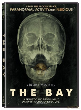 Bay [DVD]