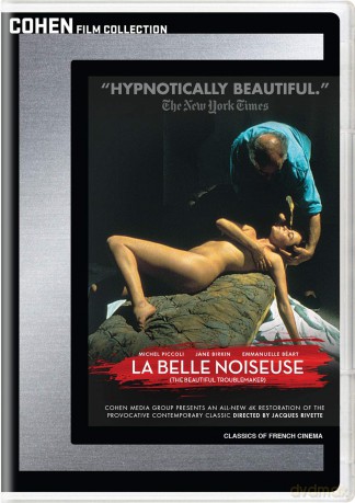 Beautiful Troublemaker [DVD]