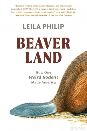 Beaverland [KSIĄŻKA]